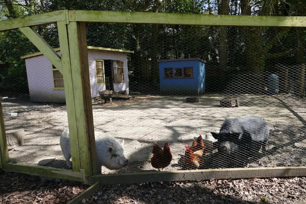The Stables - 2 Bed With Large Garden And Hot Tub. *