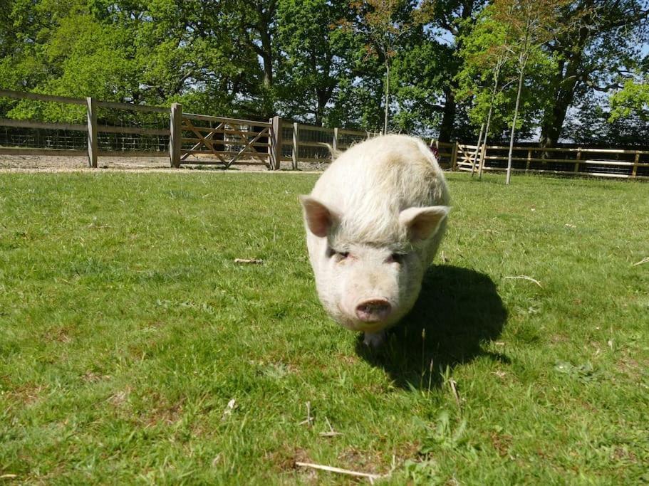 Holiday home The Stables - 2 Bed With Large Garden And Hot Tub. *