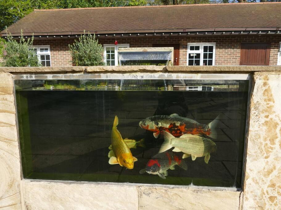 Holiday home The Stables - 2 Bed With Large Garden And Hot Tub. Sway